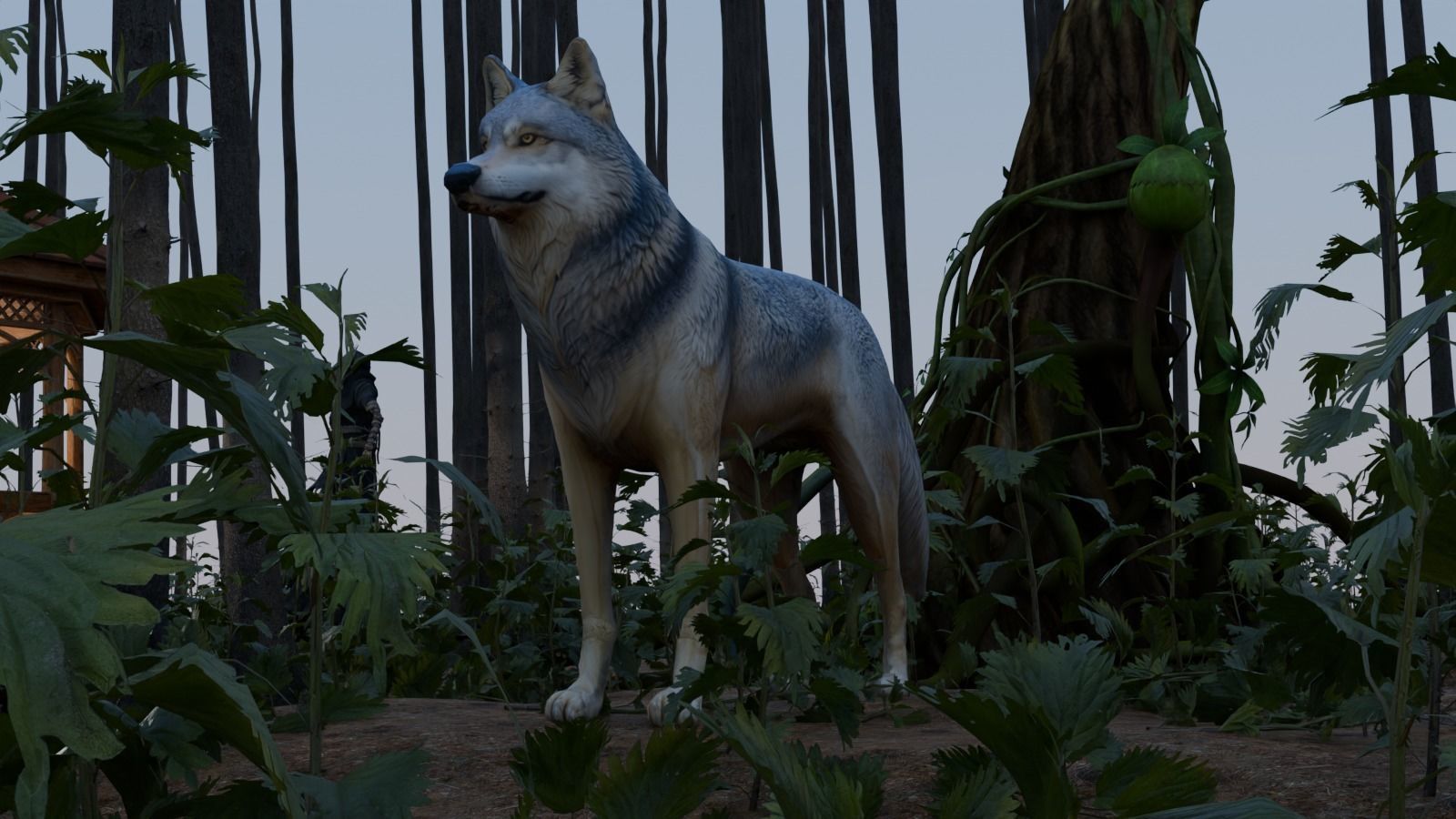 Wolf King Free 3D model_6