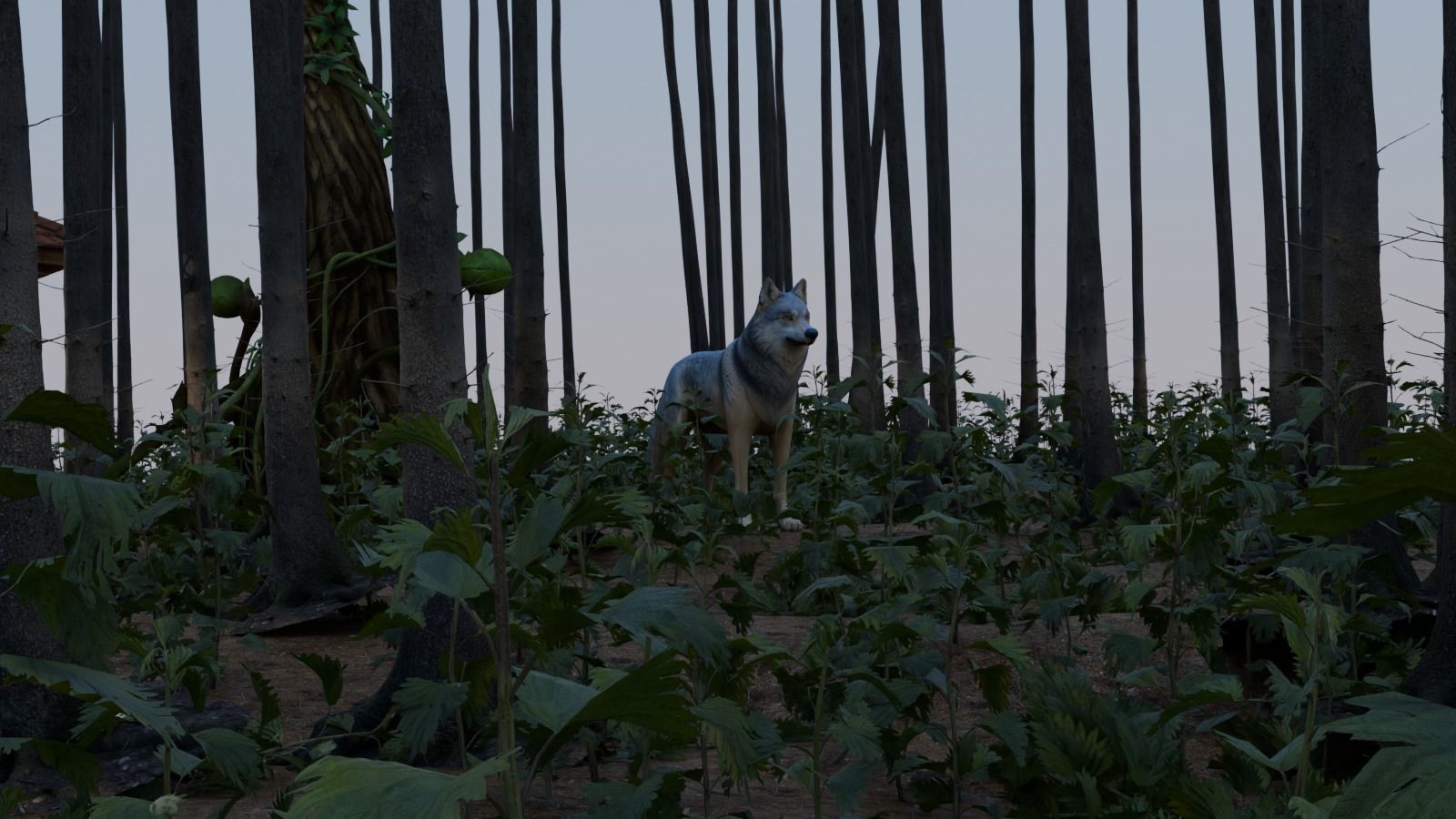 Wolf King Free 3D model_7