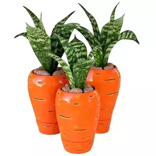 3 carrot vases decorative set