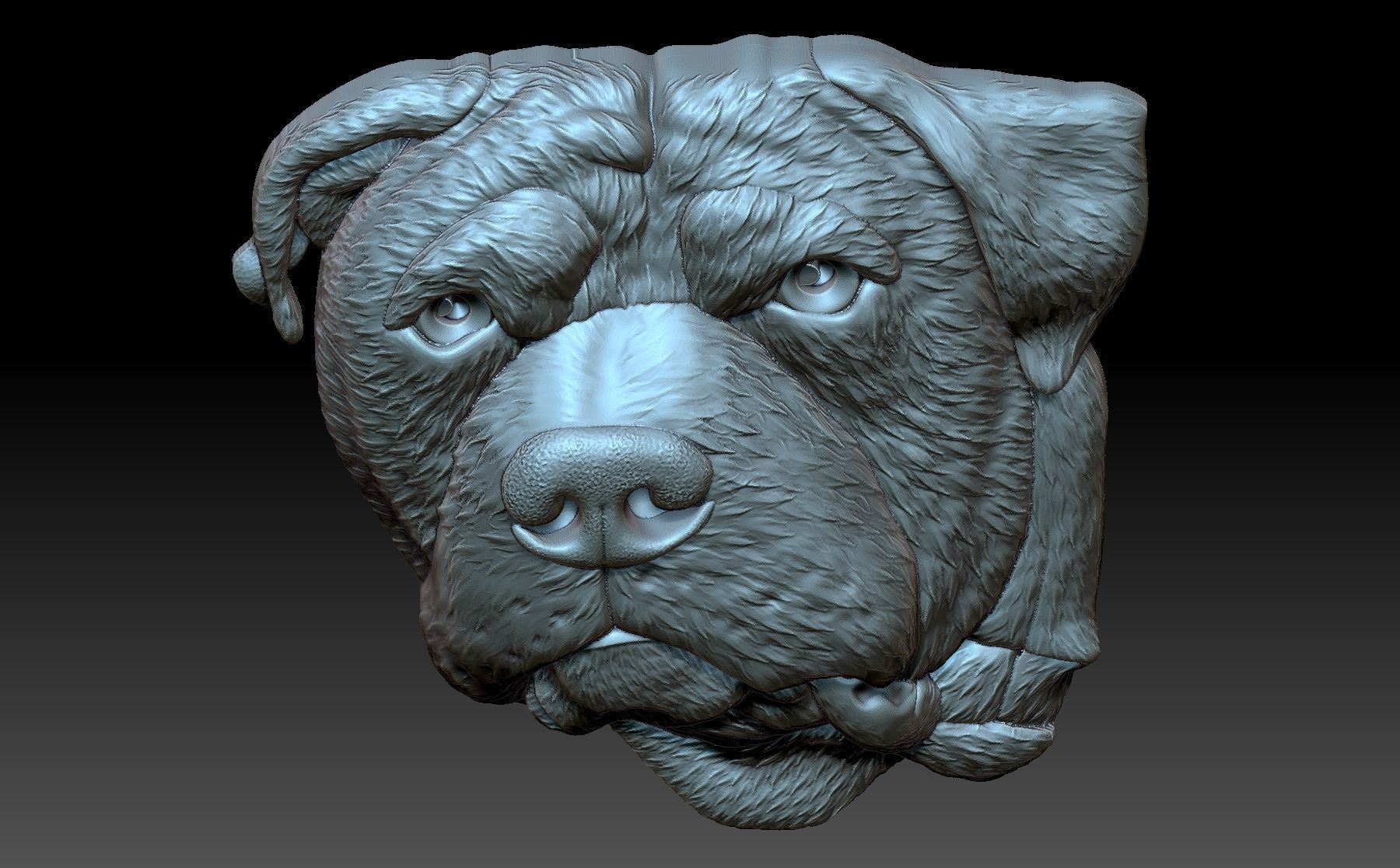 Dog head 3D print model_4