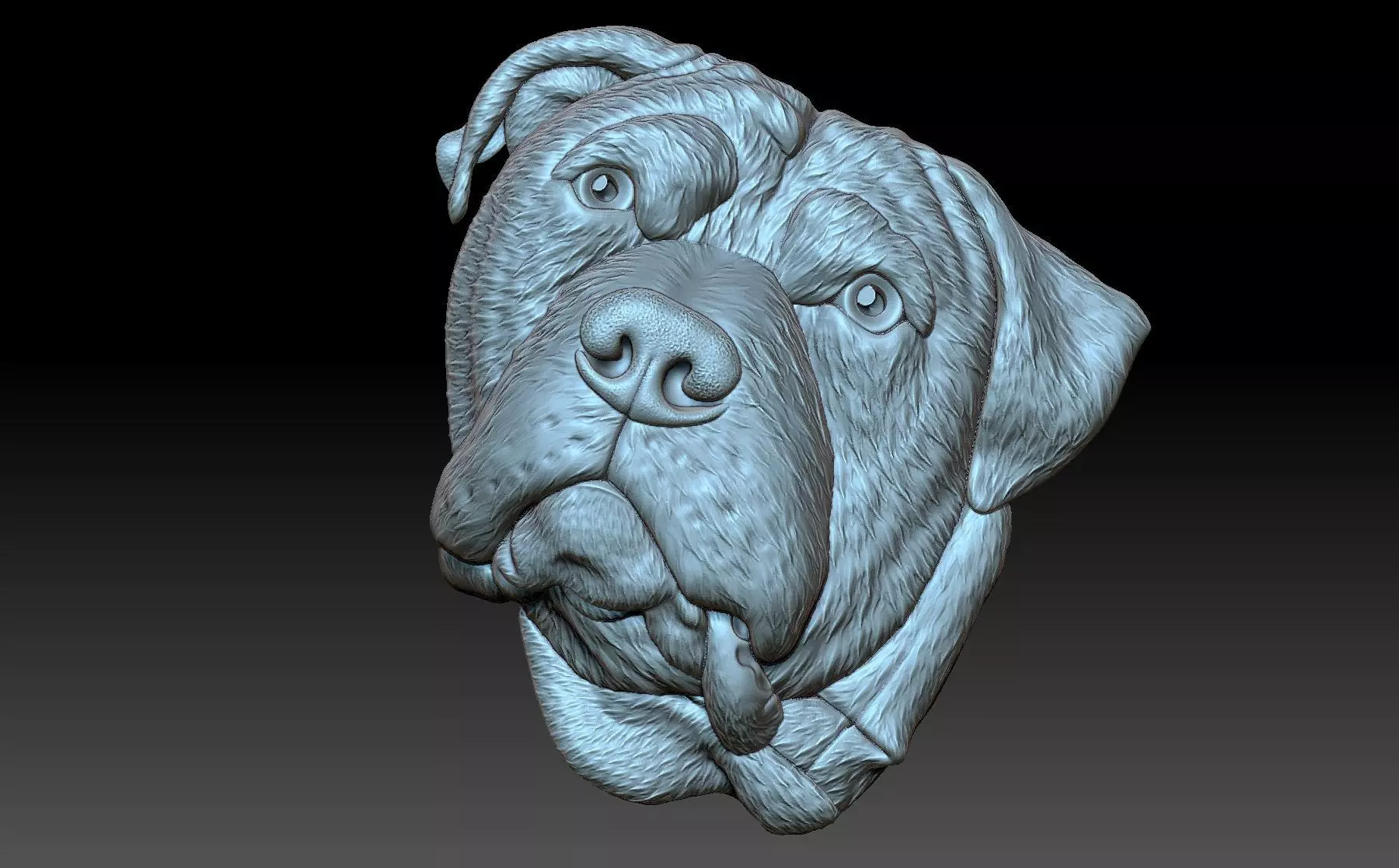 Dog head 3D print model_0