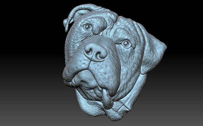 Dog head 3D print model