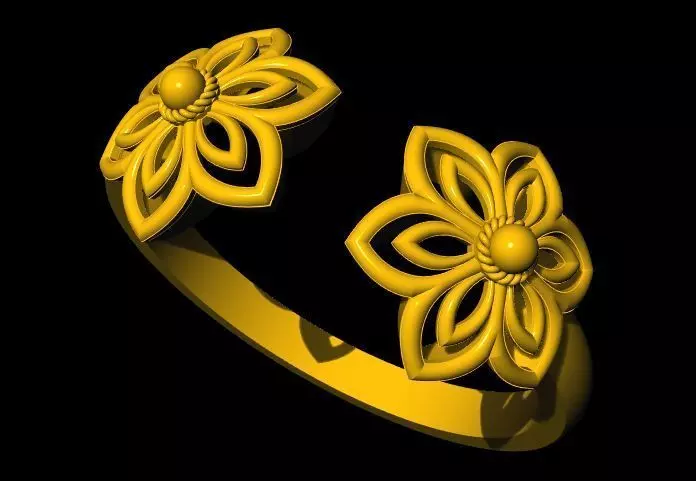 Bypass Ring 3dm and stl file 3D print model