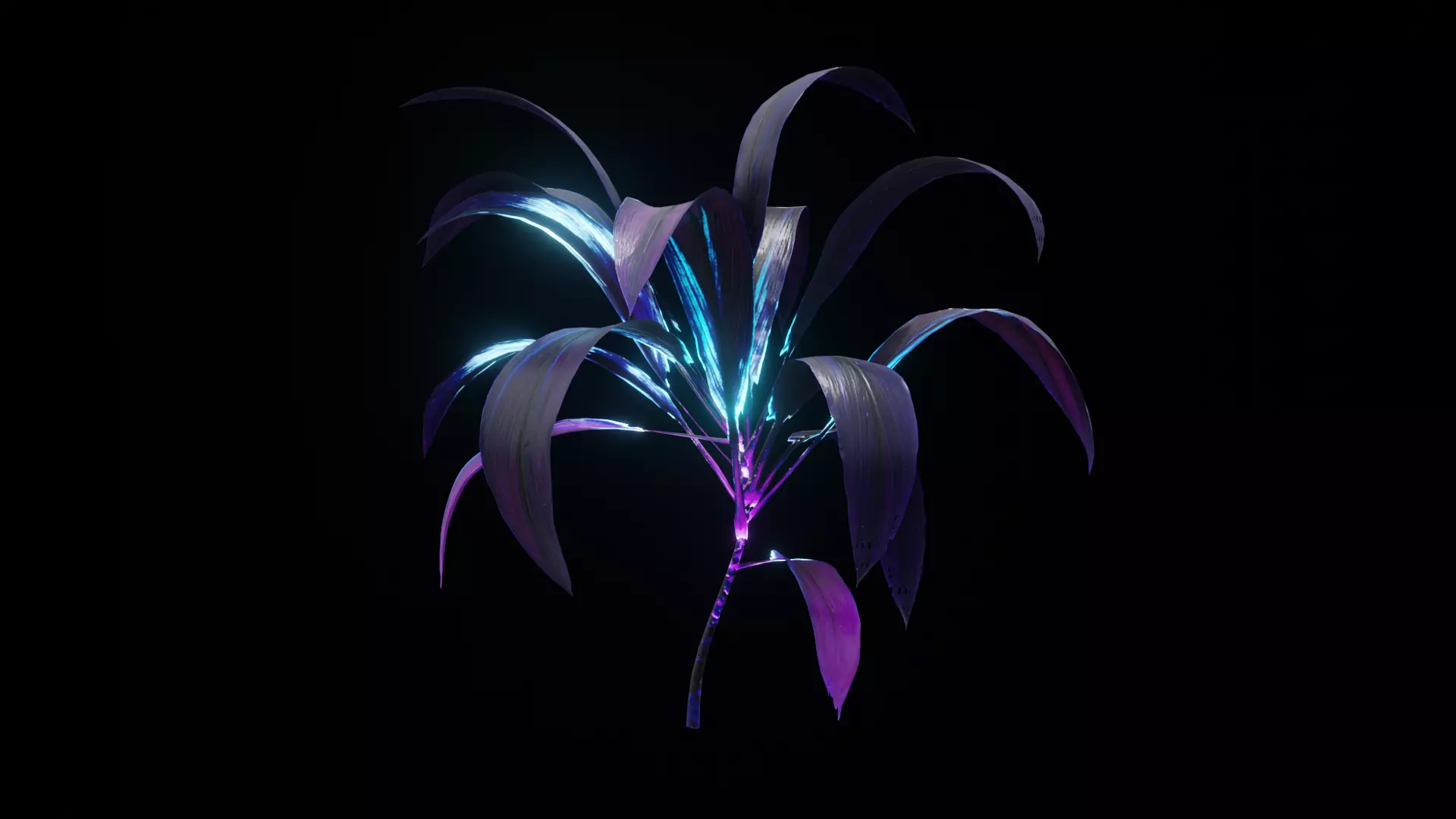 Alien Dracaena Plant Low-poly 3D model_0