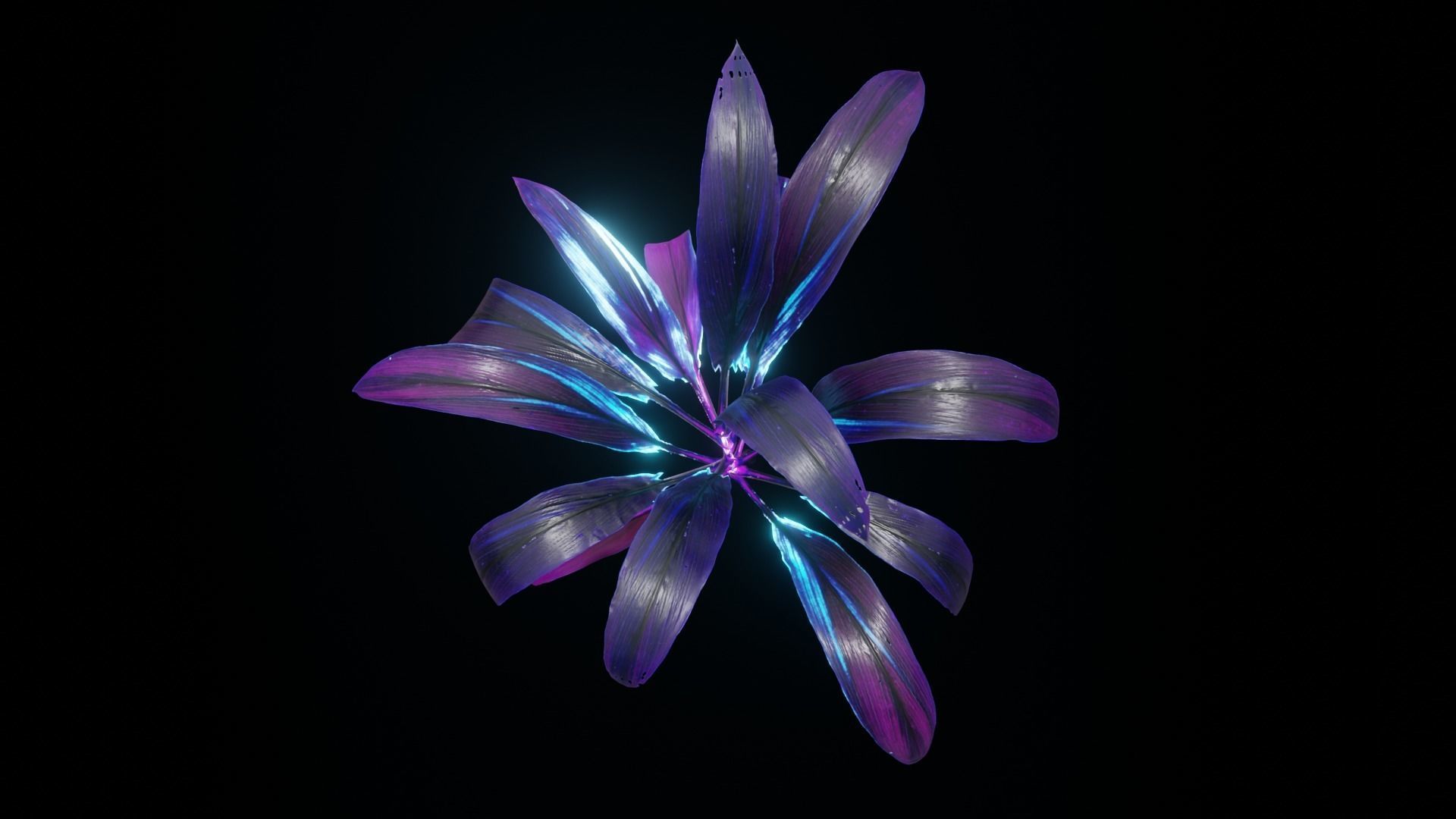 Alien Dracaena Plant Low-poly 3D model_7