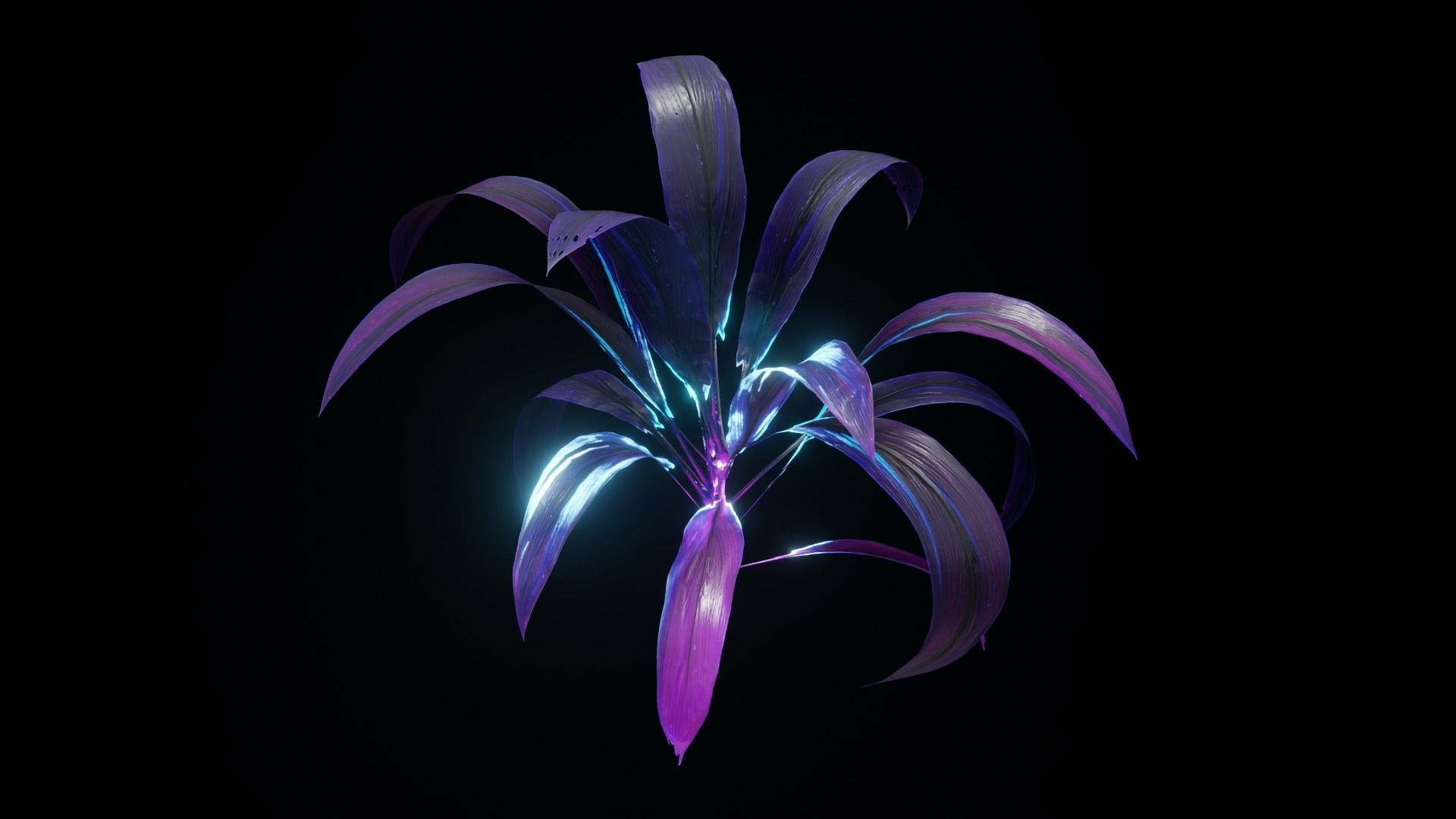 Alien Dracaena Plant Low-poly 3D model_8