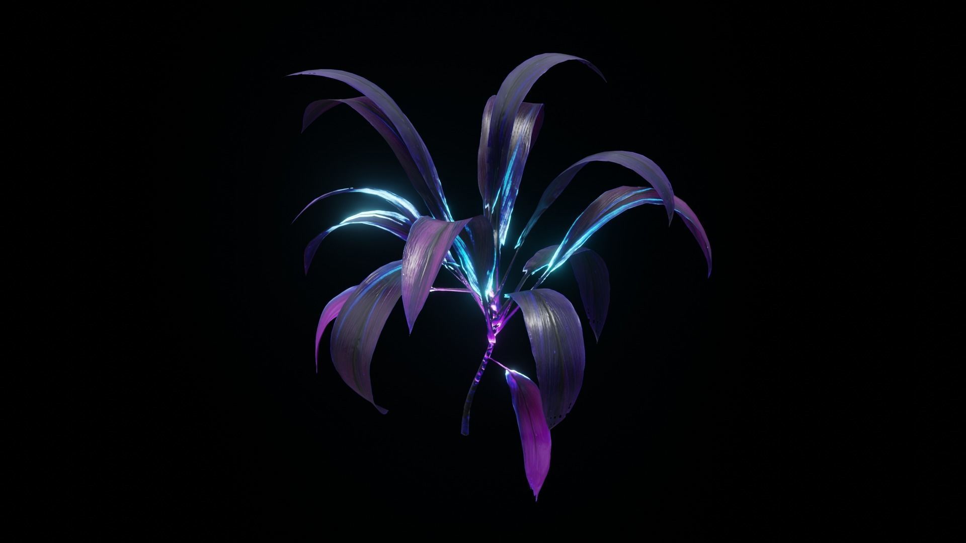 Alien Dracaena Plant Low-poly 3D model_5