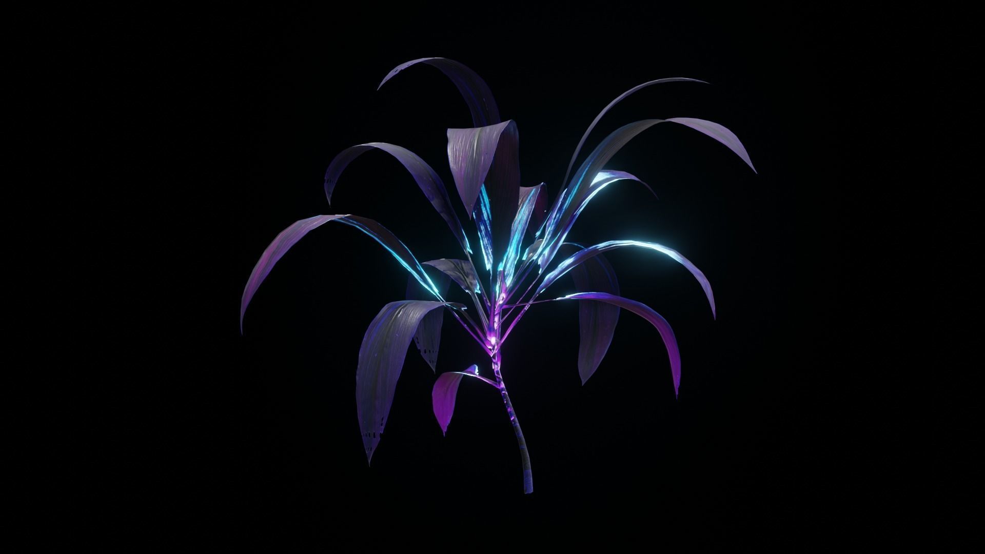 Alien Dracaena Plant Low-poly 3D model_15