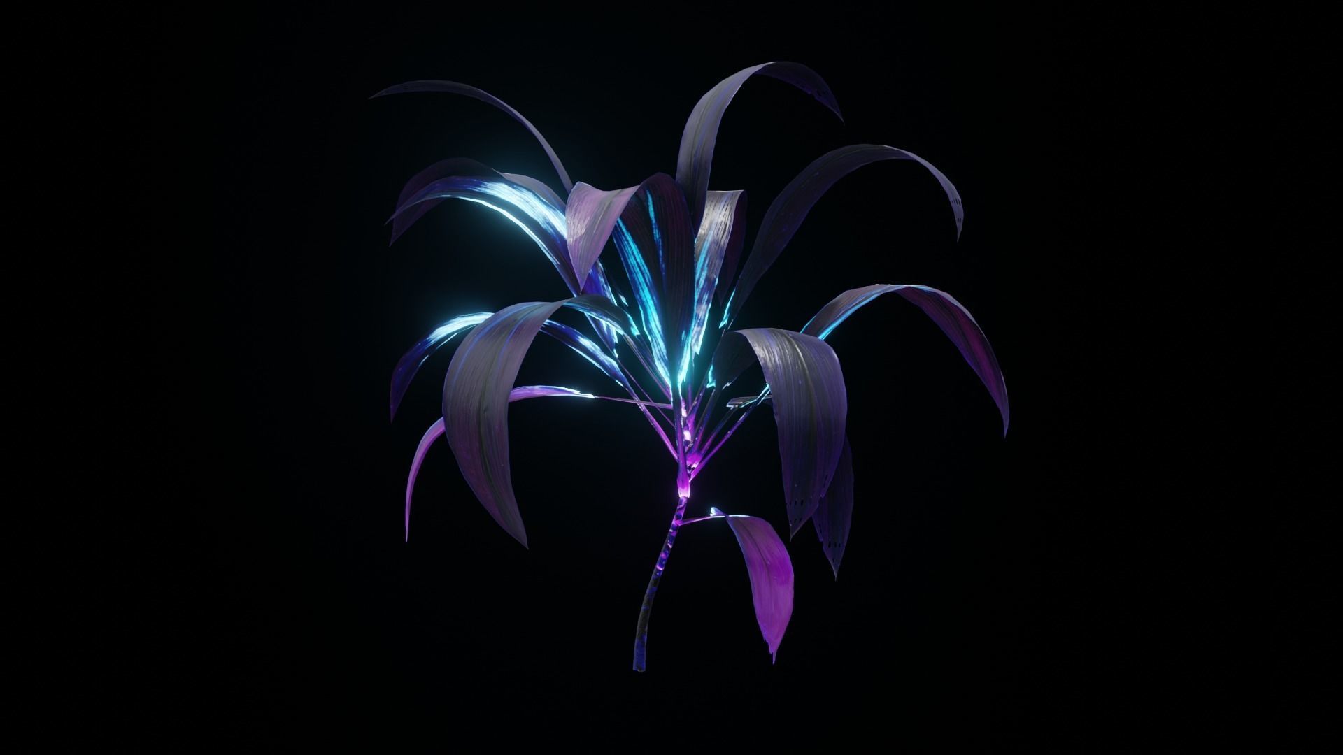 Alien Dracaena Plant Low-poly 3D model_14