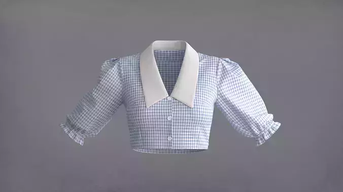Collar Blouse 3D Model