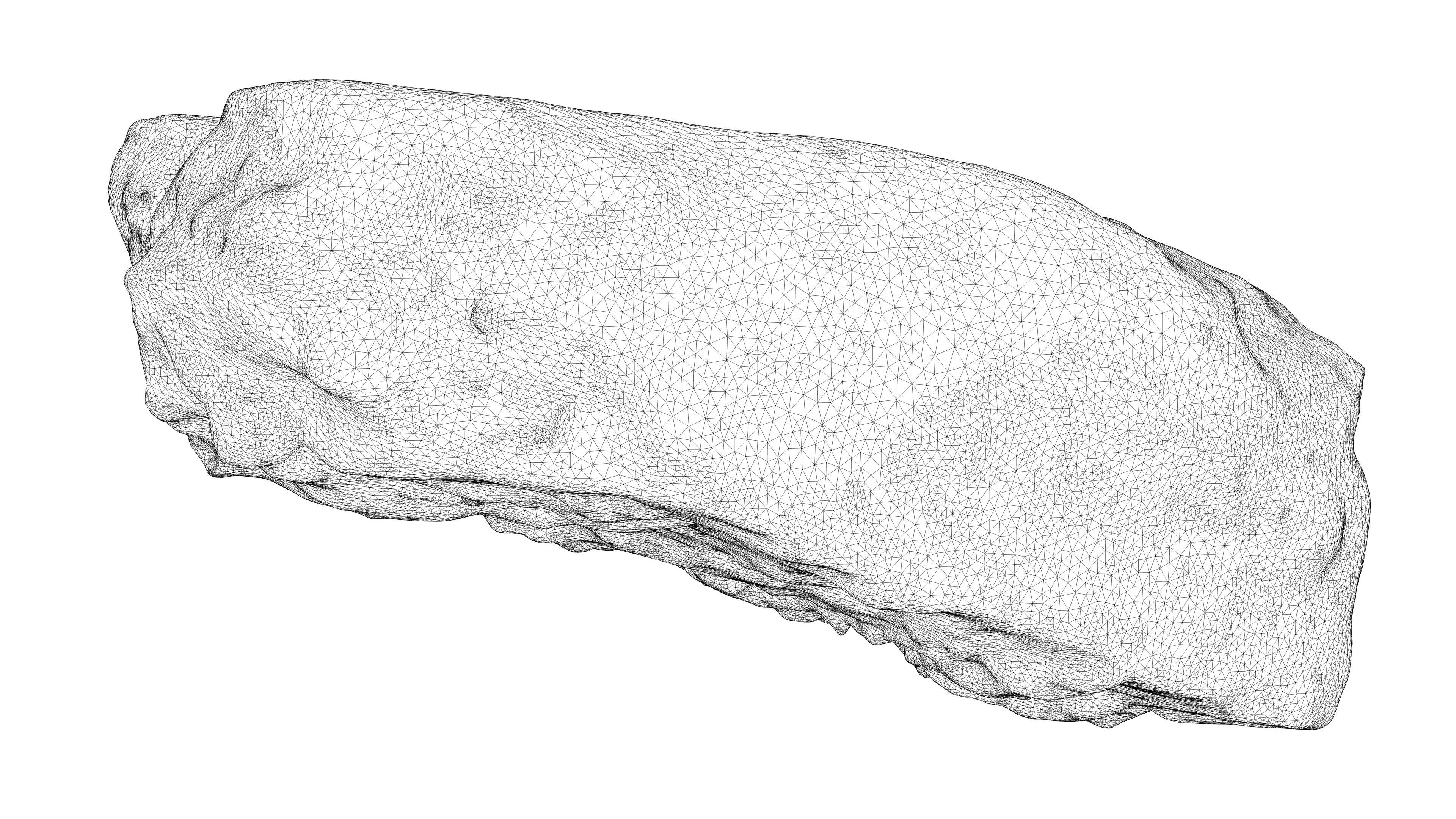 Photorealistic 3D scan of rock stone Low-poly 3D model_21