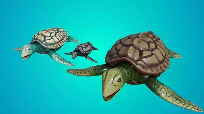 Loggerhead sea turtle Caretta caretta Family