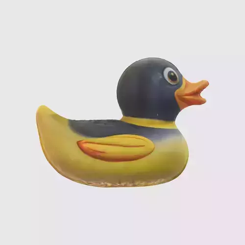 A rubber duck