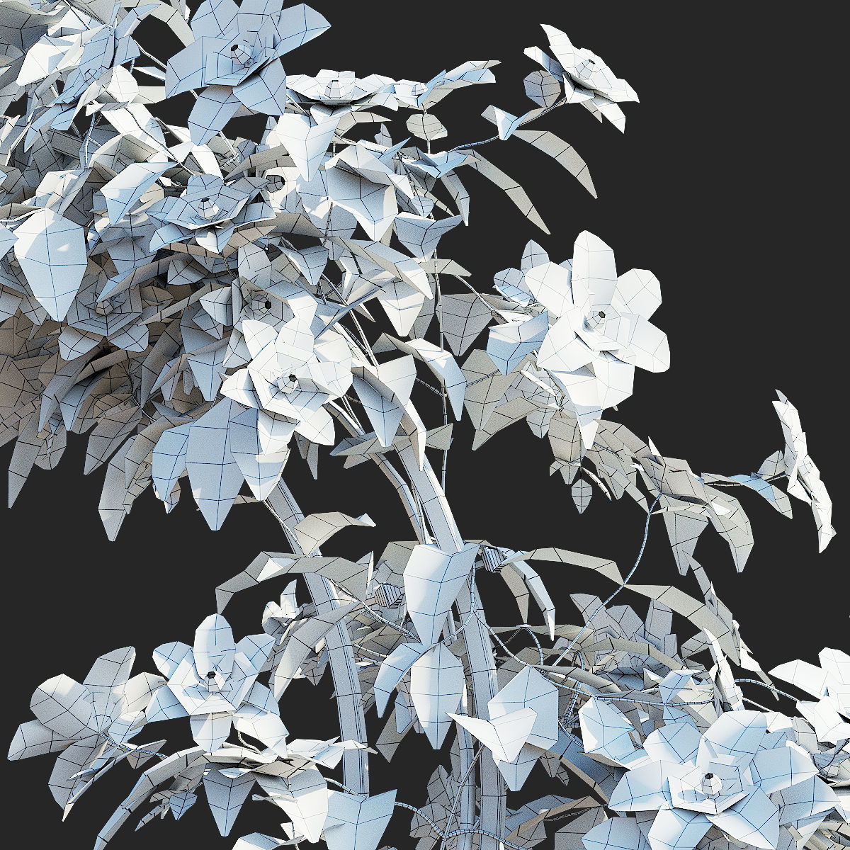Clematis on trellis 3D model_6