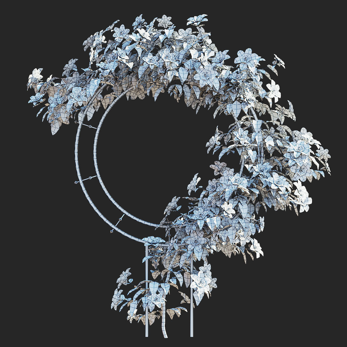 Clematis on trellis 3D model_5