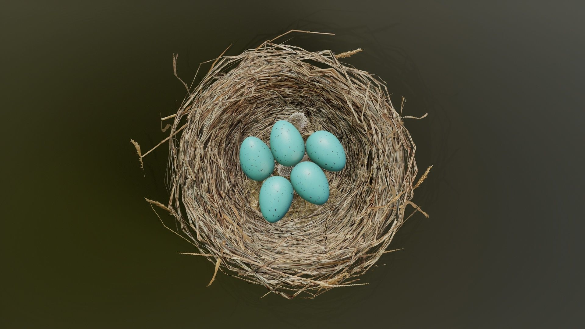 Bird Nest 3D model_2
