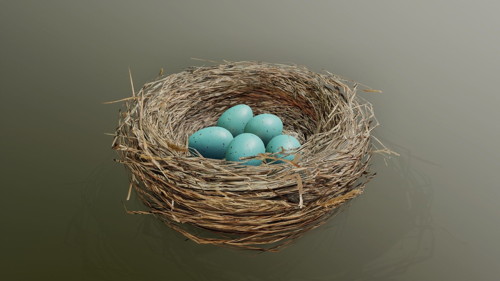 Bird Nest 3D model_4