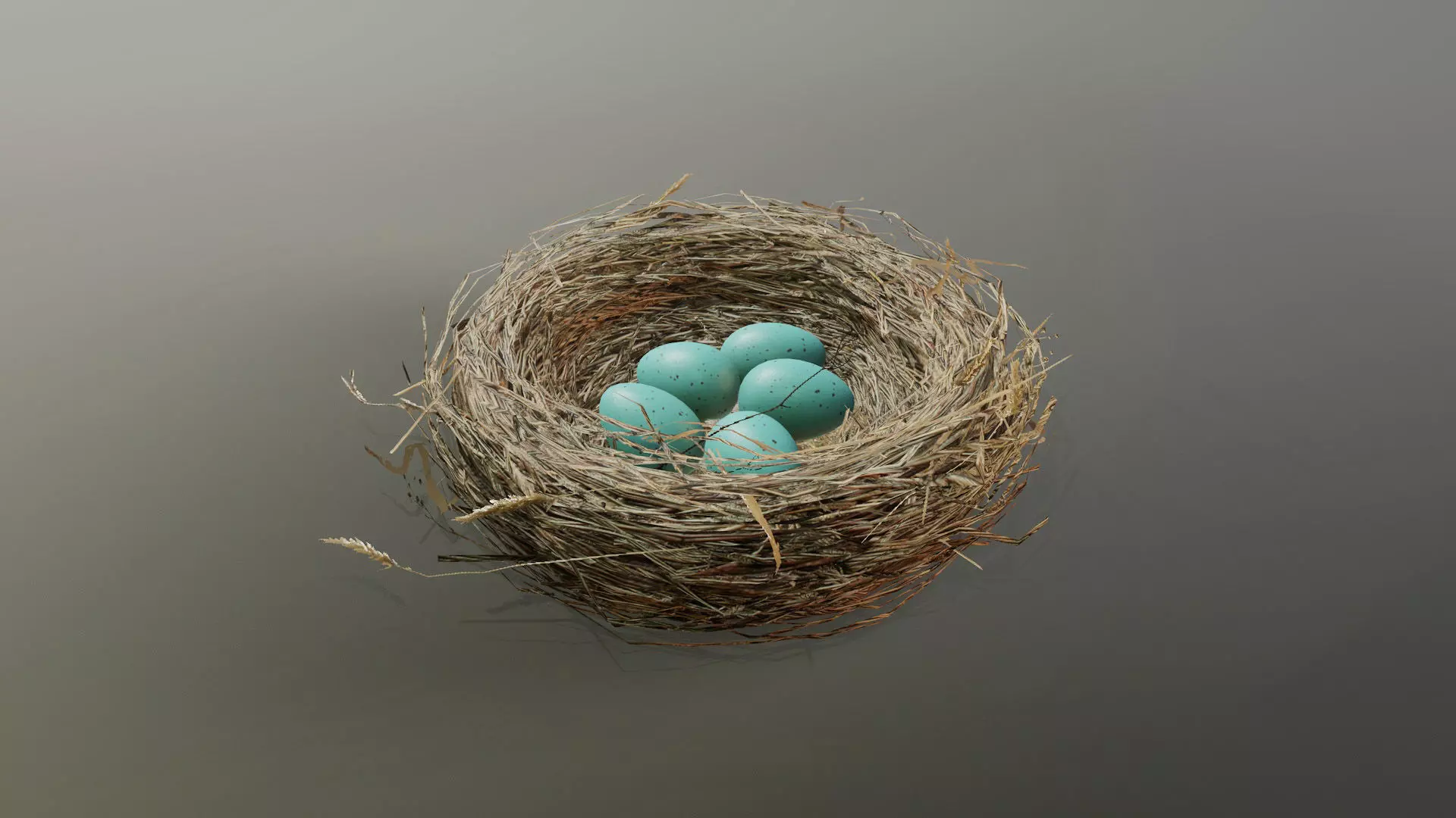 Bird Nest 3D model_0