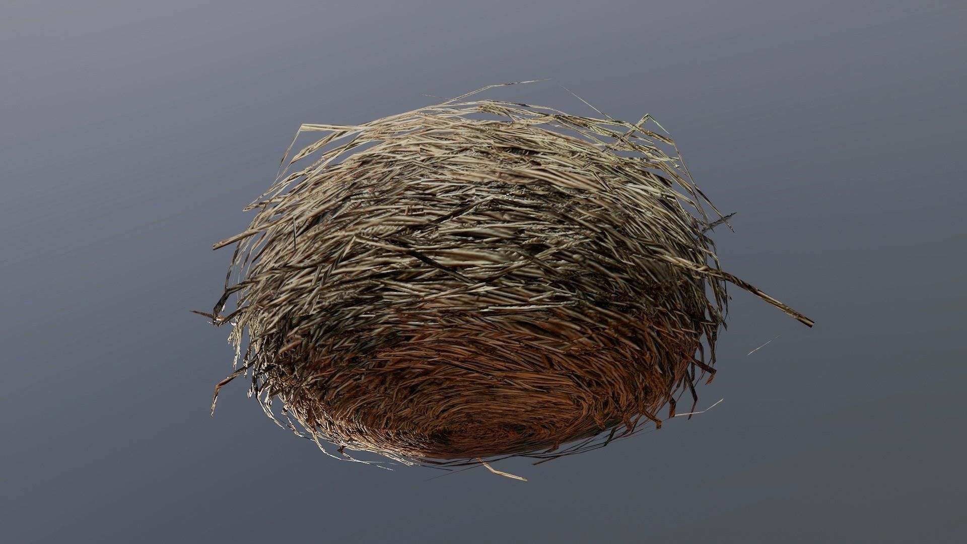 Bird Nest 3D model_6