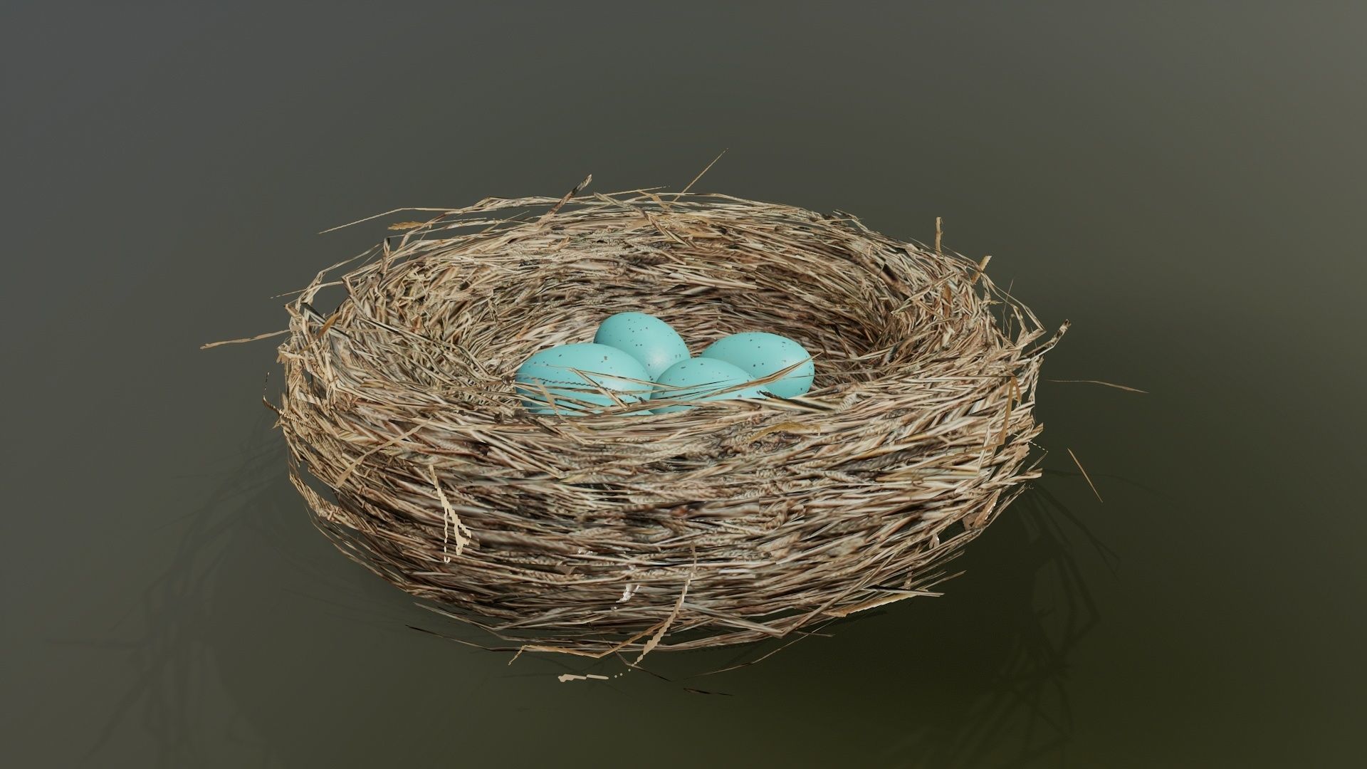Bird Nest 3D model_5