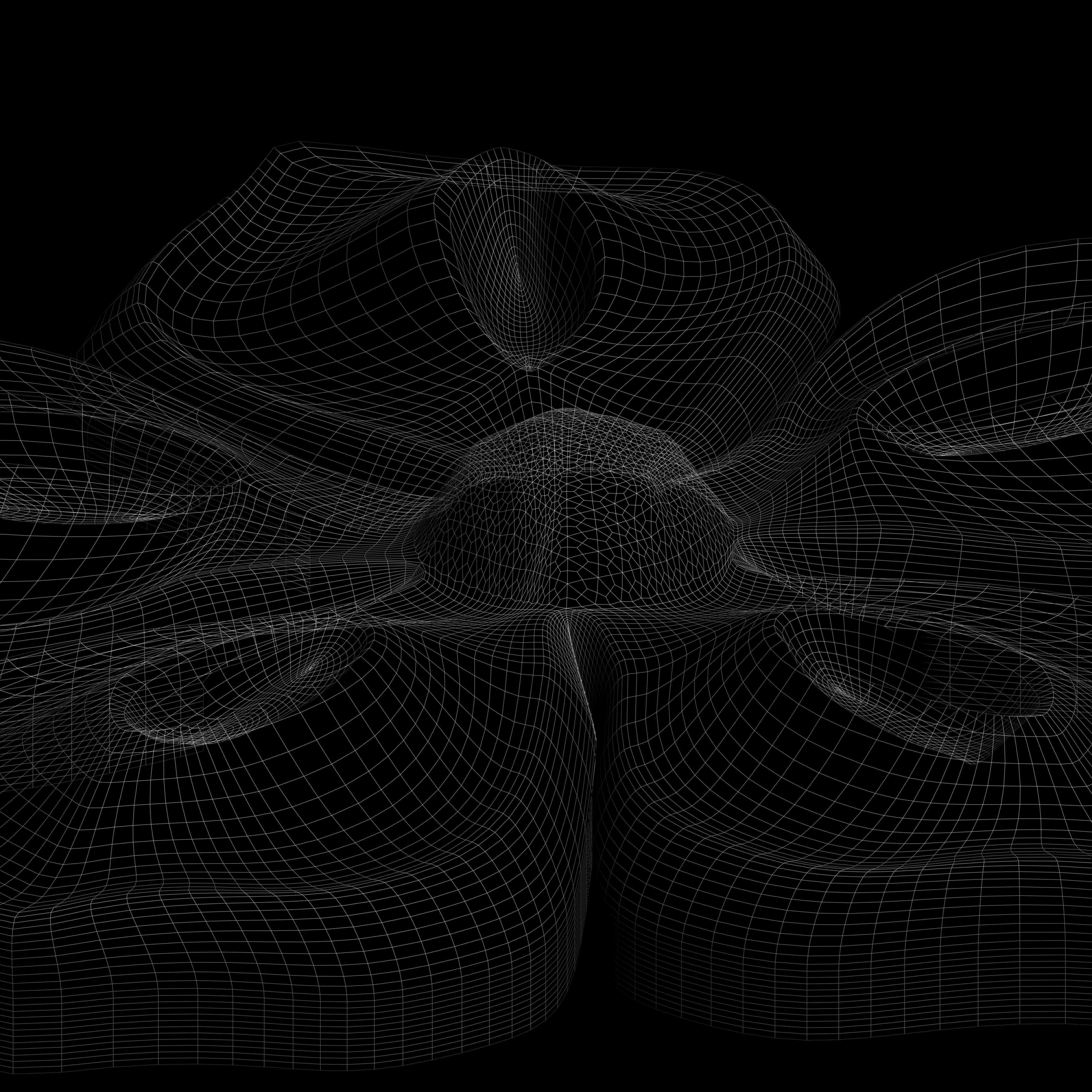 3D stl model of a flower for CNC router Free 3D print model_5