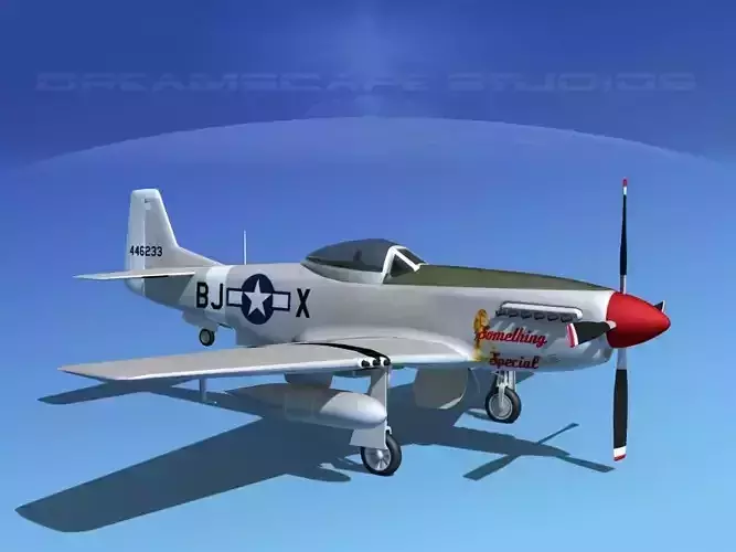 P-51D Mustang Something Special 3D model