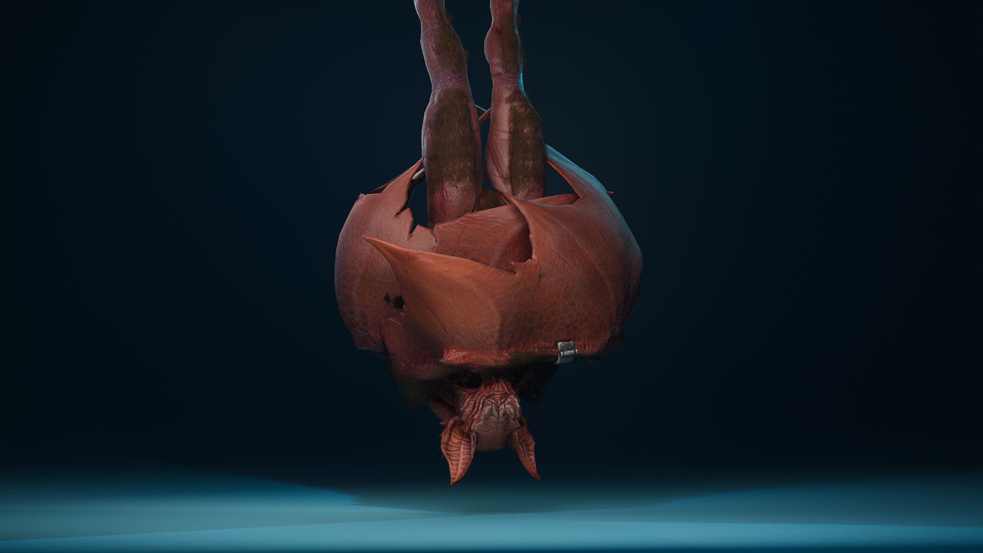 MutantBat Low-poly 3D model_10