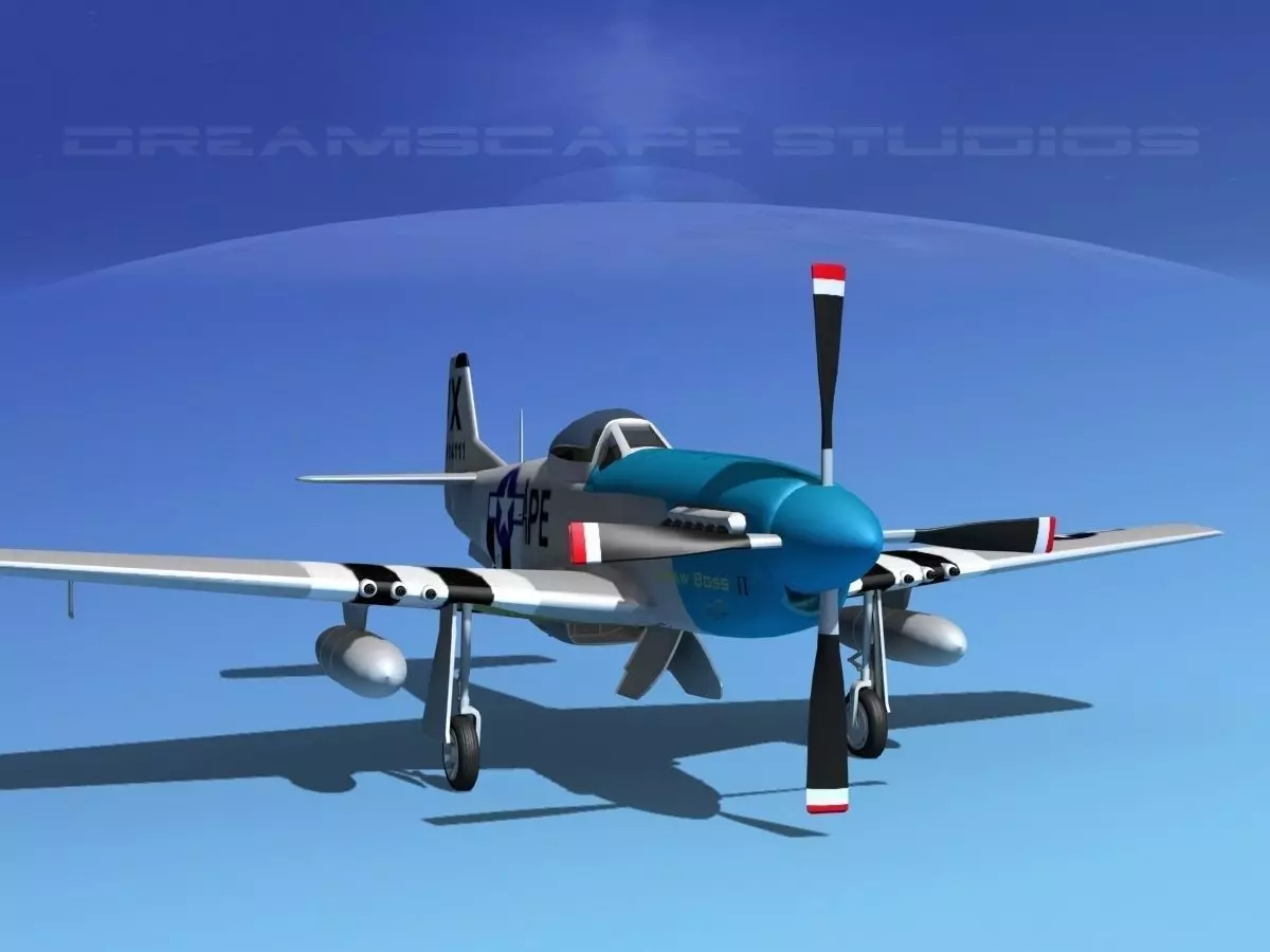 P-51D Mustang Strawboss 3D model
