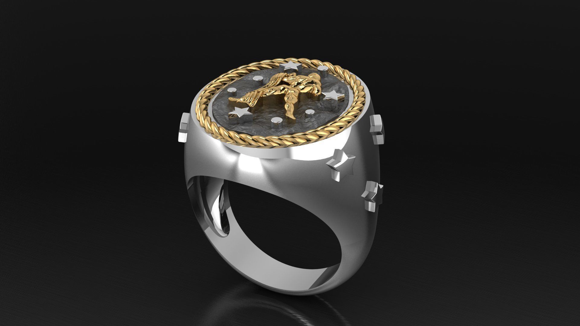 Zodiac Ring Aquarius 3D print model_1