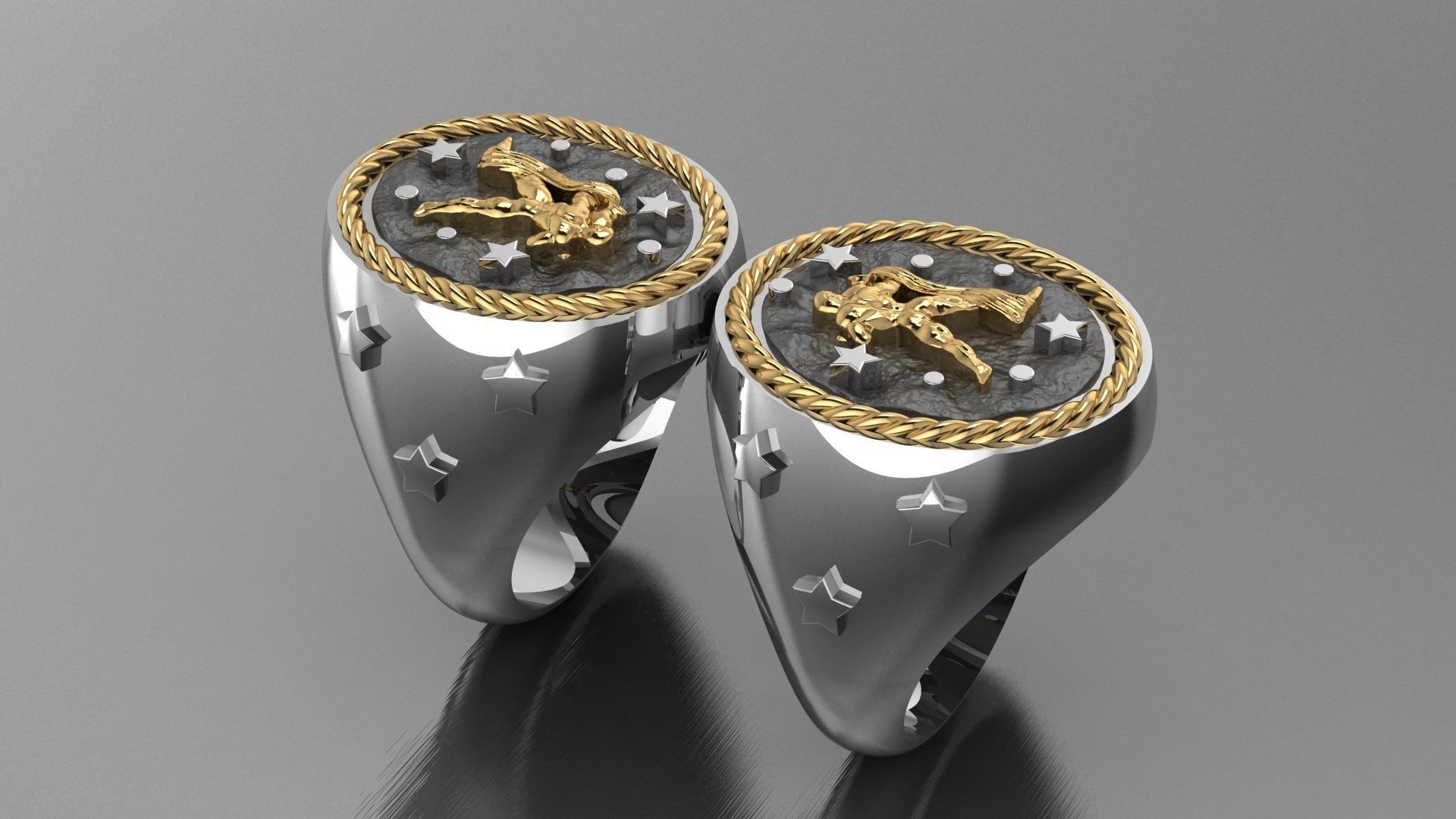Zodiac Ring Aquarius 3D print model_4