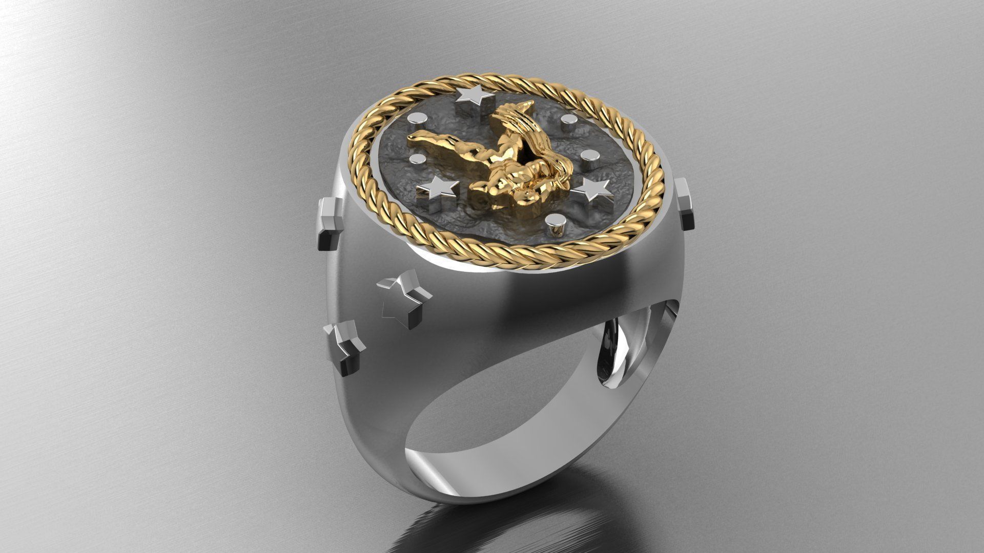 Zodiac Ring Aquarius 3D print model_5