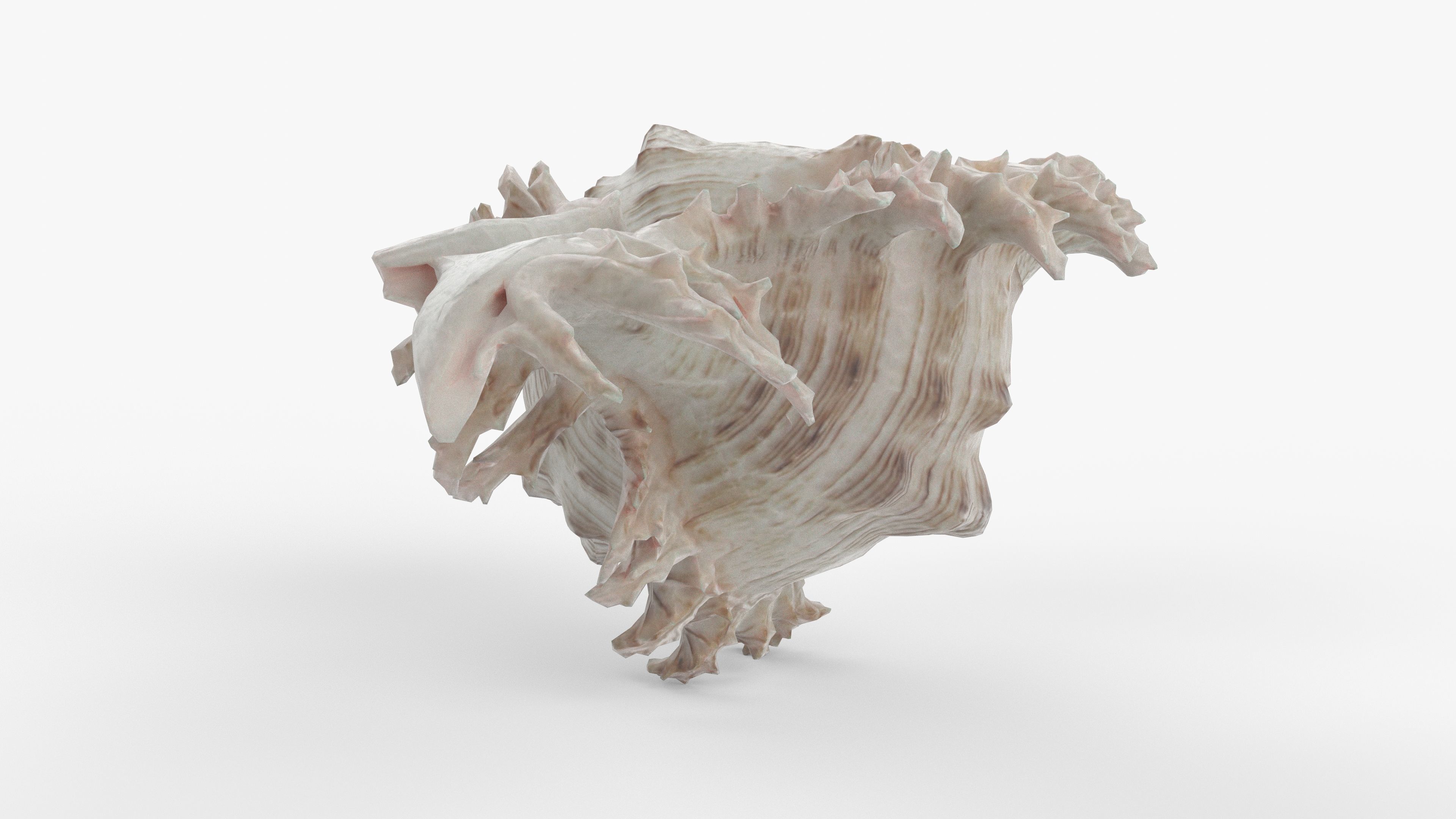 Photorealistic 3D scan of sea shell Low-poly 3D model_9