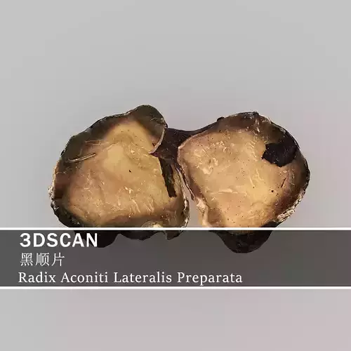 3DSCAN-Traditional Chinese Medicine-Radix Aconiti Lateralis Low-poly 3D model