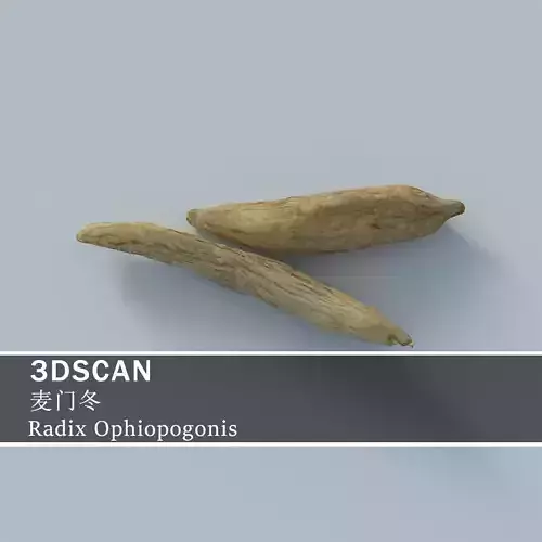 3DSCAN-Traditional Chinese Medicine-Radix Ophiopogonis