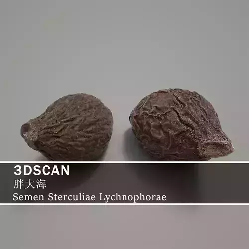 3DSCAN-Traditional Chinese Medicine-SemenSterculiaeLychnophorae Low-poly 3D model