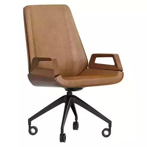 Roche Bobois NIXON
