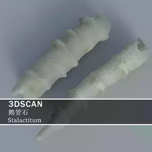 3DSCAN-Traditional Chinese Medicine-Stalactitum