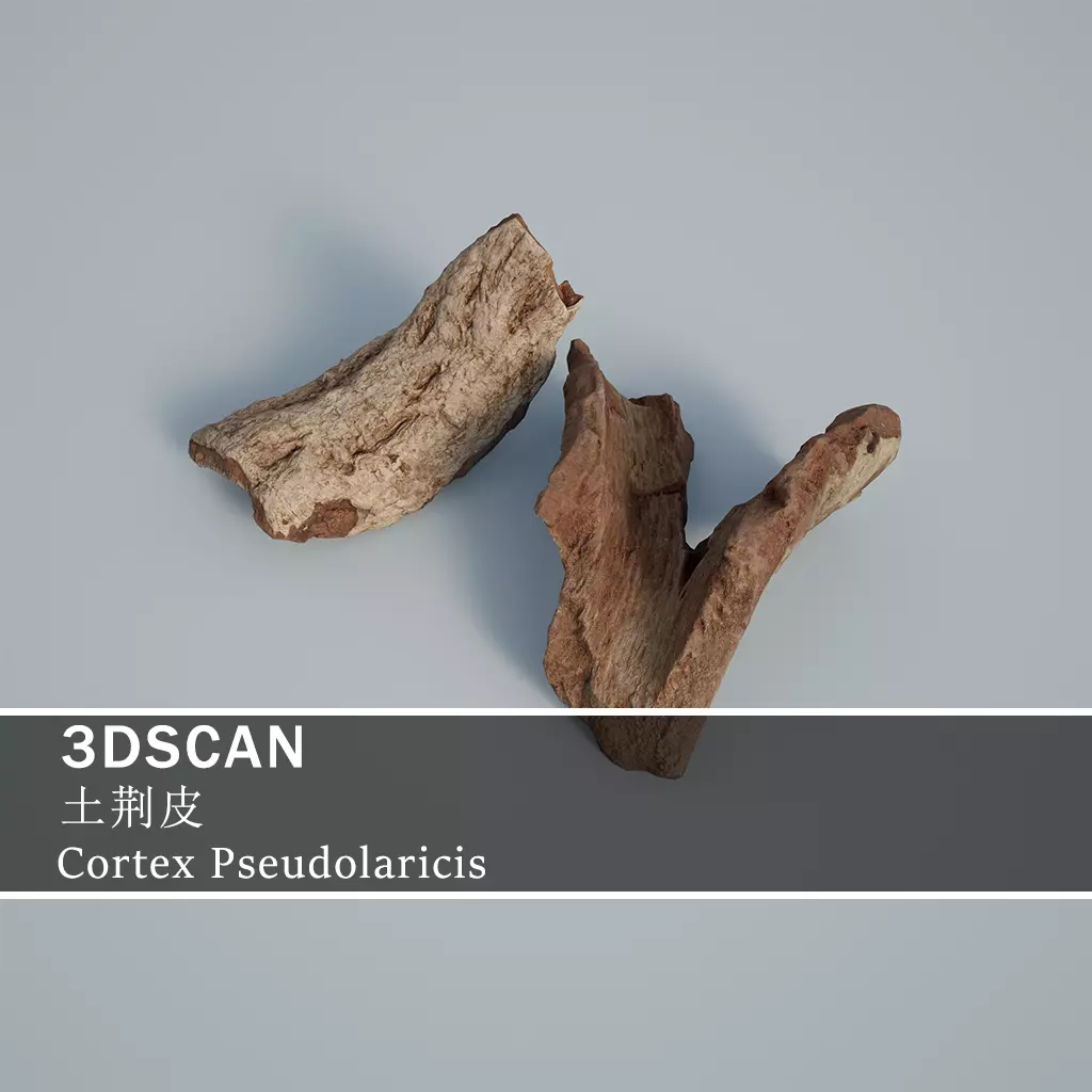 3DSCAN-Traditional Chinese Medicine-Cortex Pseudolaricis Low-poly 3D model_0