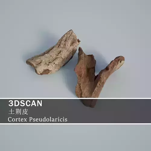 3DSCAN-Traditional Chinese Medicine-Cortex Pseudolaricis Low-poly 3D model