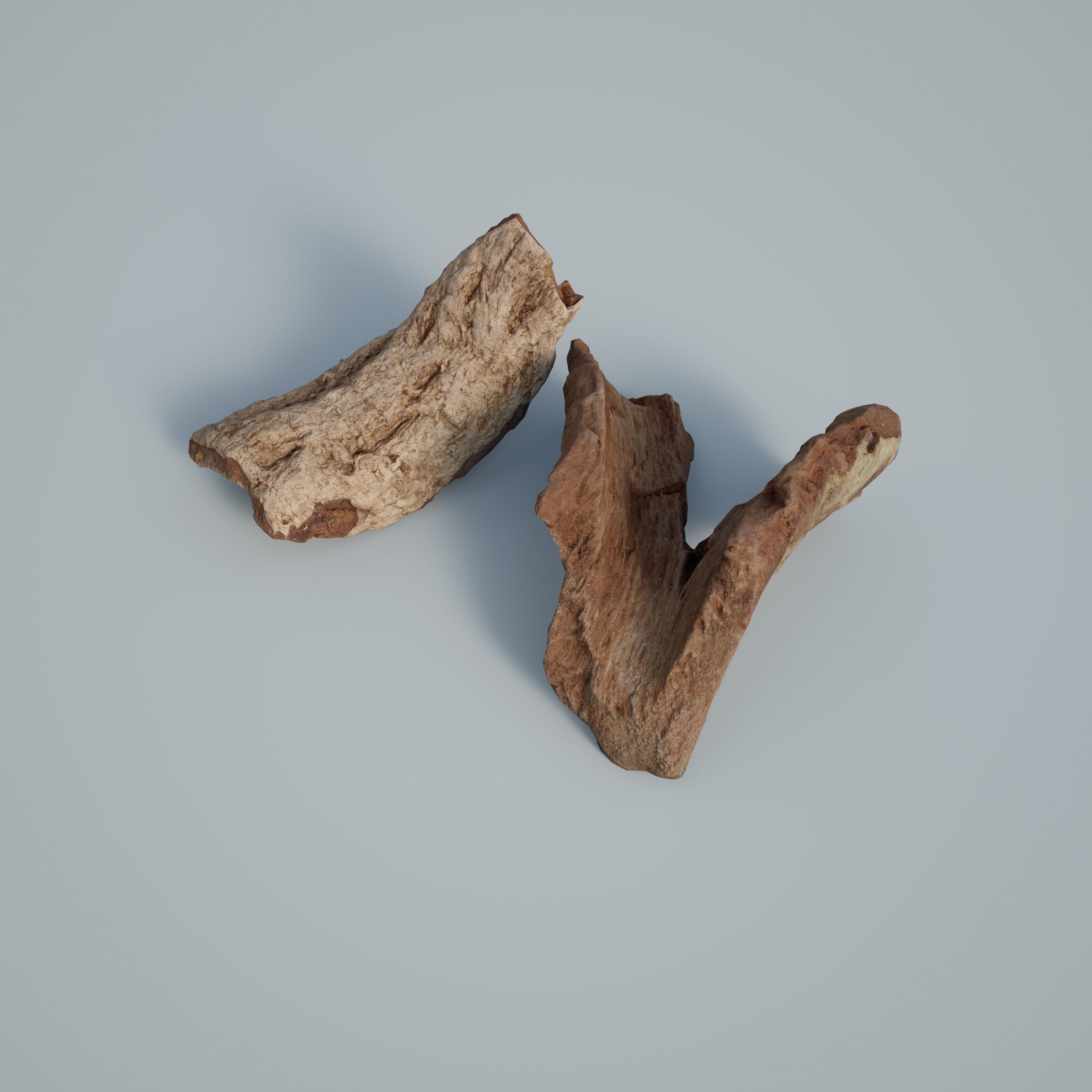 3DSCAN-Traditional Chinese Medicine-Cortex Pseudolaricis Low-poly 3D model_1