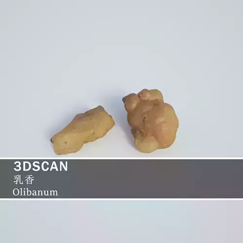 3DSCAN-Traditional Chinese Medicine-Olibanum