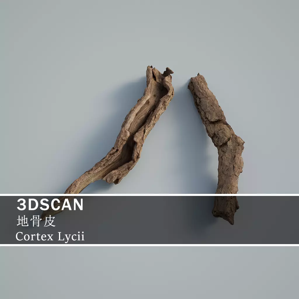 3DSCAN-Traditional Chinese Medicine-Cortex Lycii Low-poly 3D model_0