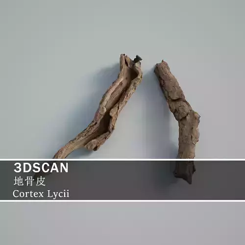 3DSCAN-Traditional Chinese Medicine-Cortex Lycii Low-poly 3D model