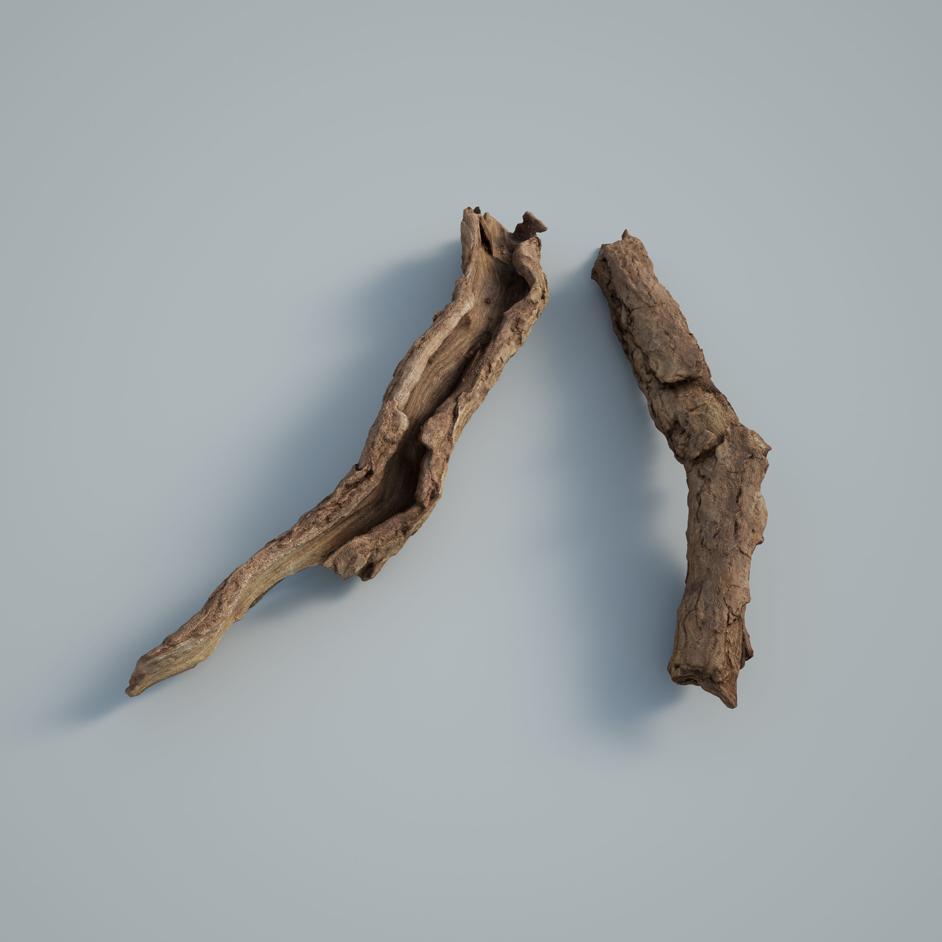 3DSCAN-Traditional Chinese Medicine-Cortex Lycii Low-poly 3D model_1