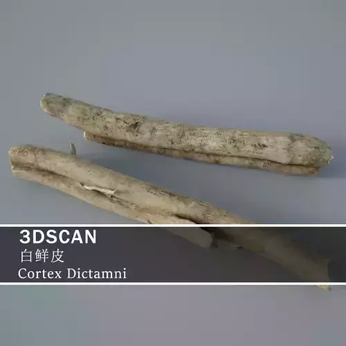3DSCAN-Traditional Chinese Medicine-Cortex Dictamni
