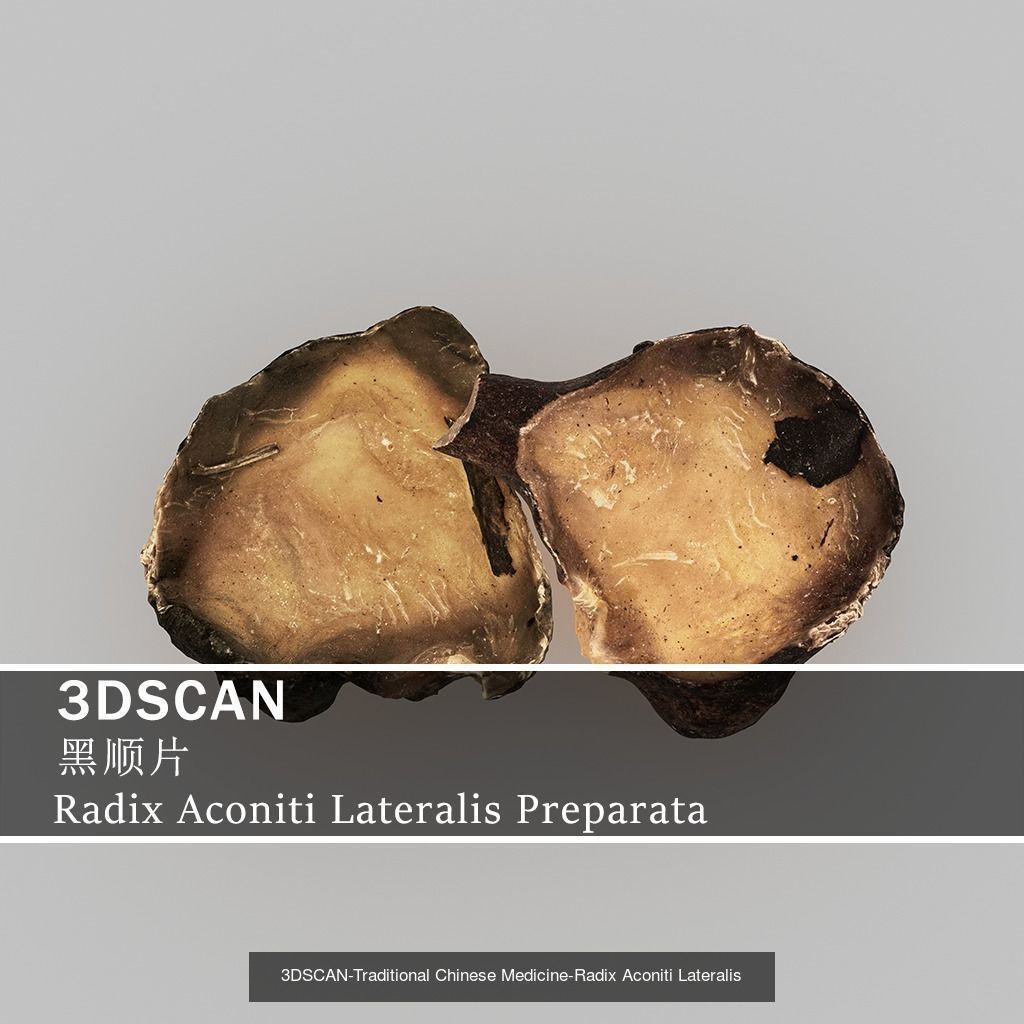 3DSCAN-Traditional Chinese Medicine 3D Model Collection 04 _7