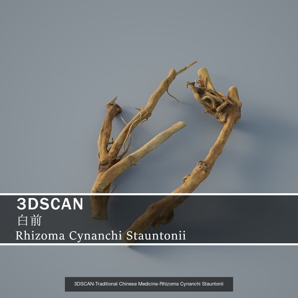 3DSCAN-Traditional Chinese Medicine 3D Model Collection 04 _5