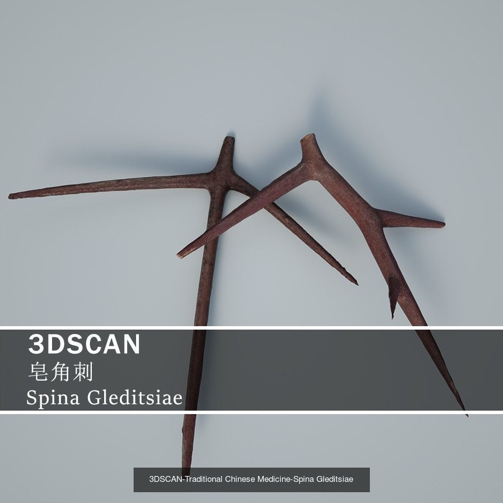 3DSCAN-Traditional Chinese Medicine 3D Model Collection 04 _24