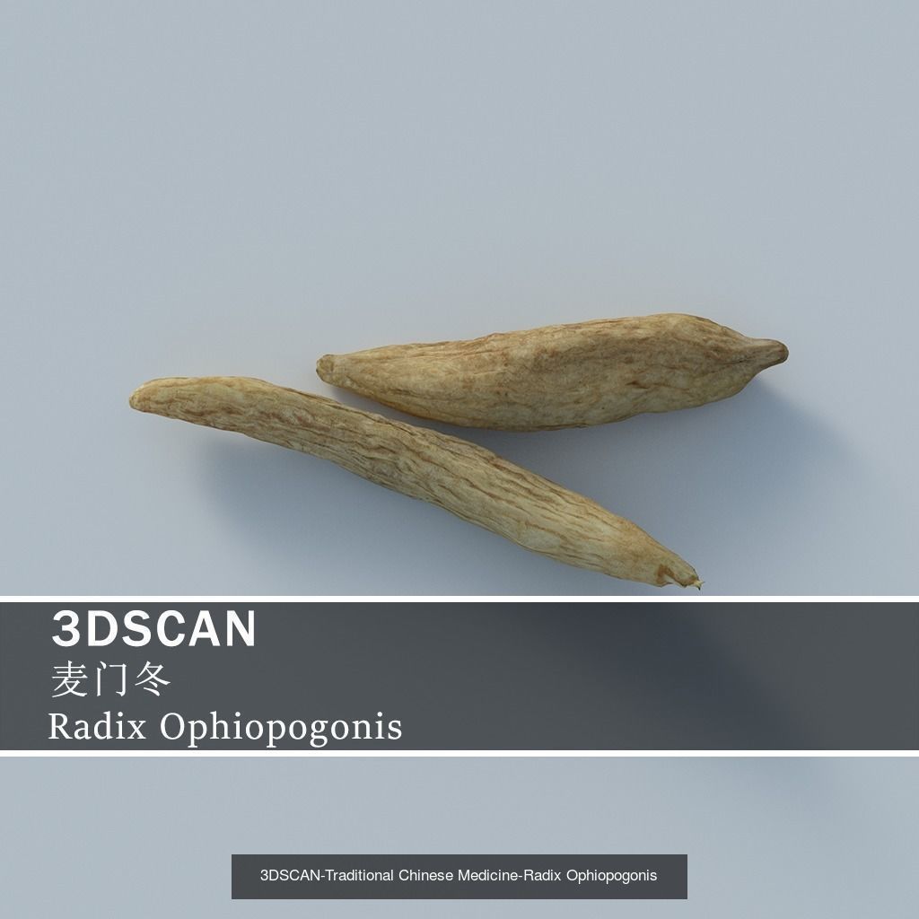 3DSCAN-Traditional Chinese Medicine 3D Model Collection 04 _8
