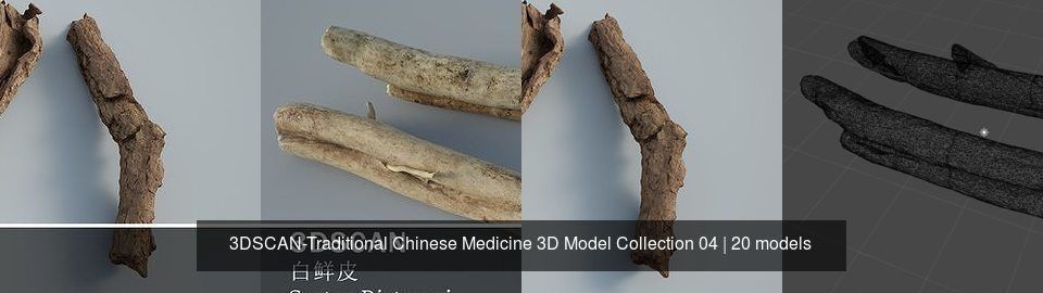 3DSCAN-Traditional Chinese Medicine 3D Model Collection 04 _3